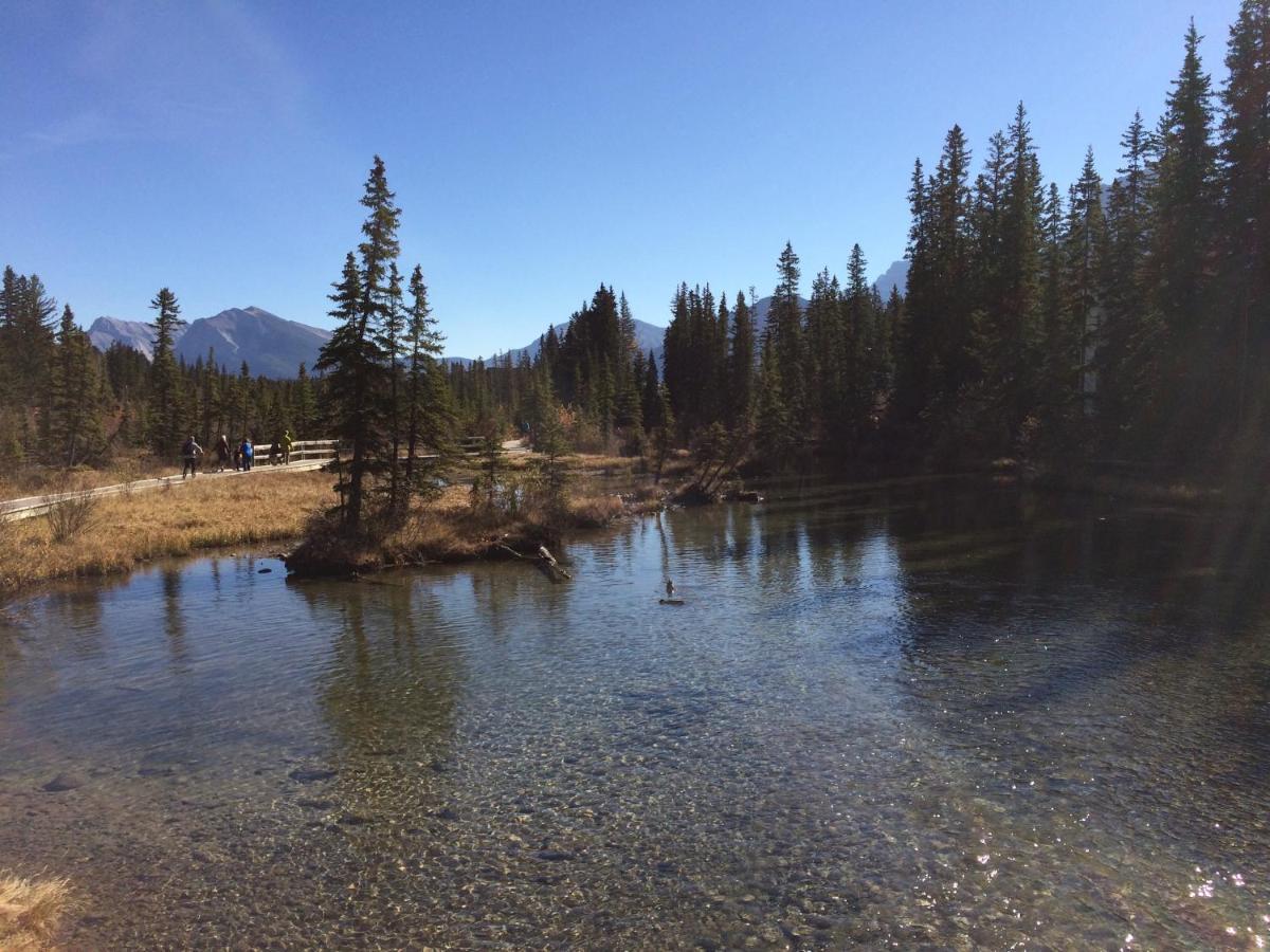 Apartment 405 Bear Creek Crossing Canmore Eksteriør billede